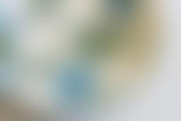 身近なお花たちの可愛らしさや美しさを切り取るように描かれたうつわは、何とも優しい気持ちにさせてくれます