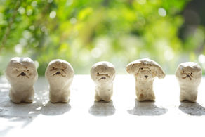 thanks ! 20th mokodi 『犬展』