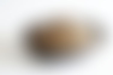 日々のお料理や食卓を優しく彩ってくれる城進さんのうつわ