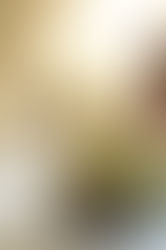 JO SUSUMU EXHIBITION 2024