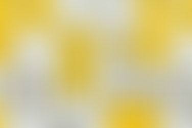 よつめ染布舎さんより、来年2021年カレンダーが届きました。