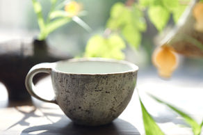 野 村 亜 矢  陶 展