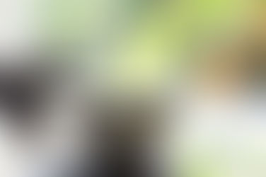 野 村 亜 矢  陶 展