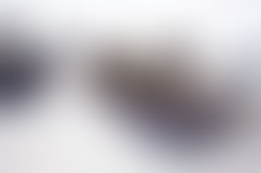 手びねりによる微妙に揺らぐ温かみのあるフォルムと動植物をモチーフとして描かれた優しい雰囲気のうつわたち。