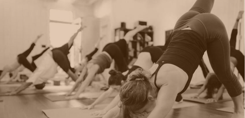 vinyasa.gif
