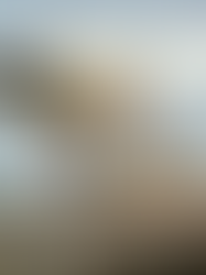 Wildlife in Portugal: de rijke wereld van de fauna