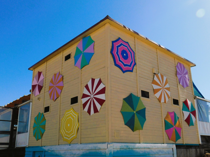 Boottocht Ria Formosa