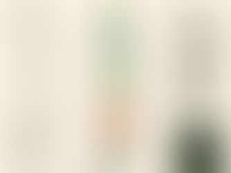 The Beginner’s Blueprint to Cannabidiol: Why Hemp is the New Frontier of Health