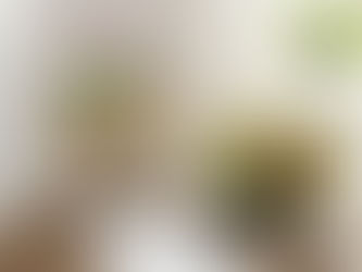 The Fiber Secret: Why Roughage is Essential in a Diet for Weight Loss