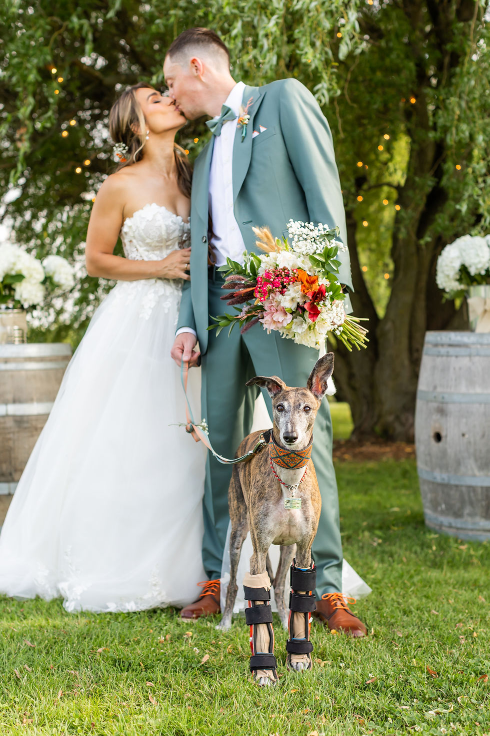 Bride and groom kissing outdoors with a dog wearing leg braces in the foreground. The bride holds a colorful bouquet. Wedding at West Avenue Cider House. Photos taken by Kayla Beth Photography a Guelph Wedding Photographer.
