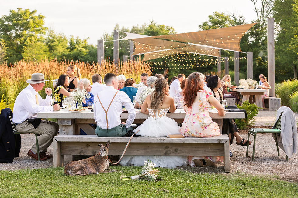 Outdoor wedding reception with guests seated at wooden tables under string lights. A dog rests on grass. Joyful, sunny atmosphere. Wedding at West Avenue Cider House. Photos taken by Kayla Beth Photography a Guelph Wedding Photographer.