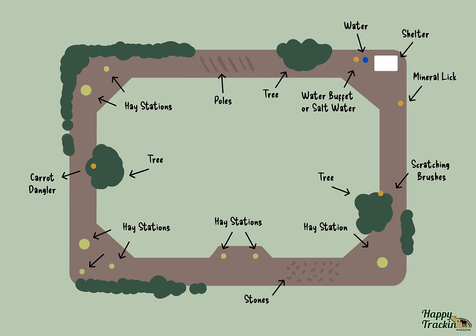 An example of a track system with added enrichment, in addition to the 'basics'.
