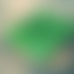 Kurzy vaření v Hoi Anu 