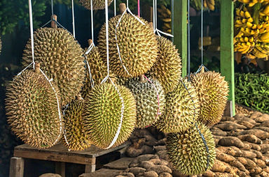 green-and-brown-round-fruits-3888735.jpg