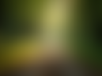 Zelfontwikkeling en Relatiecoaching voor Duurzame Verbindingen