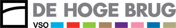 logo VSO de Hoge brug.gif