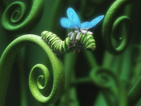 Caterpillar