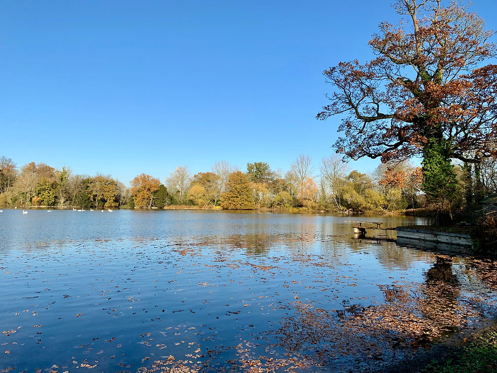 The lake at Stradsett Hall Showground, Wedding and Events Venue