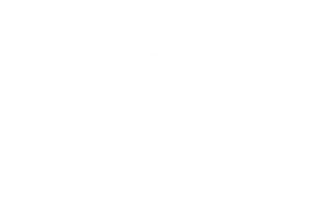 white logo transparent background 2.png