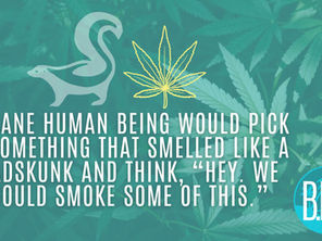 Dead Skunk(weed) in the Middle of the Road...