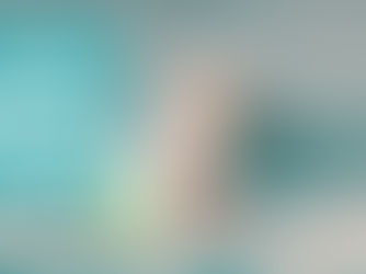 The Countdown & The Blog