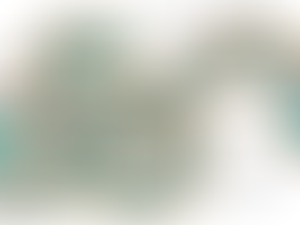 Ebola: A virus worse than Covid