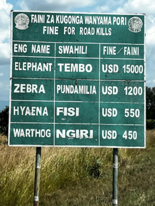 Don’t run over an elephant