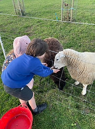 IMG-20250204-WA0015 (2)_edited_edited.jpg