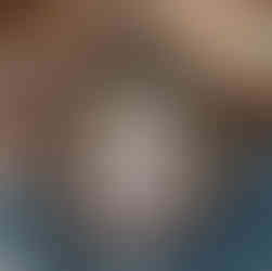 蒜蒜｜FURURU 貓咪擬真羊毛氈