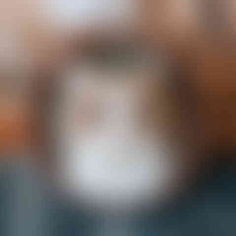 波奇｜FURURU 貓咪擬真羊毛氈