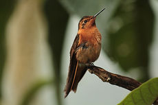 IMG_8916.JPG