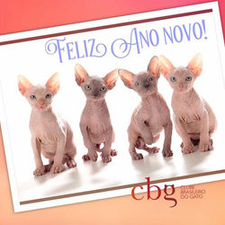 Feliz Ano Novo CBG 2017