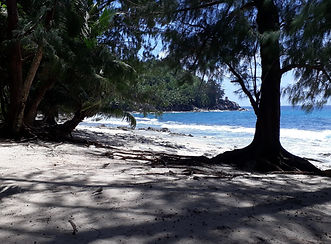 20190130_123450.jpg