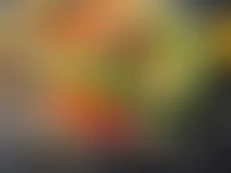 Uncovering the Essential Principles of Western Nutrition: What You Didn't Know