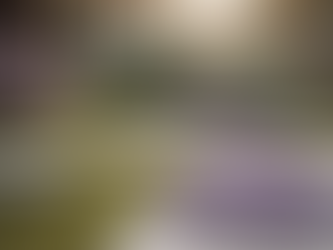 Unique Approach to Holistic Wellness: Elevate Your Health Goals