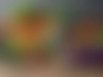 There Is NO 'One Size Fits All' Diet