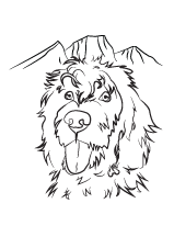 b&w_Peak_logoIcon.gif