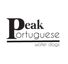 b&w_Peak_logo_Lettermark.gif