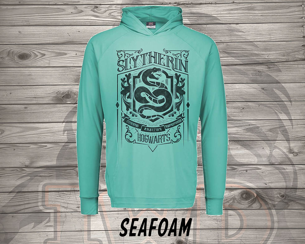 210712.12 Slytherin Flag Features - Long Sleeve Hoodie