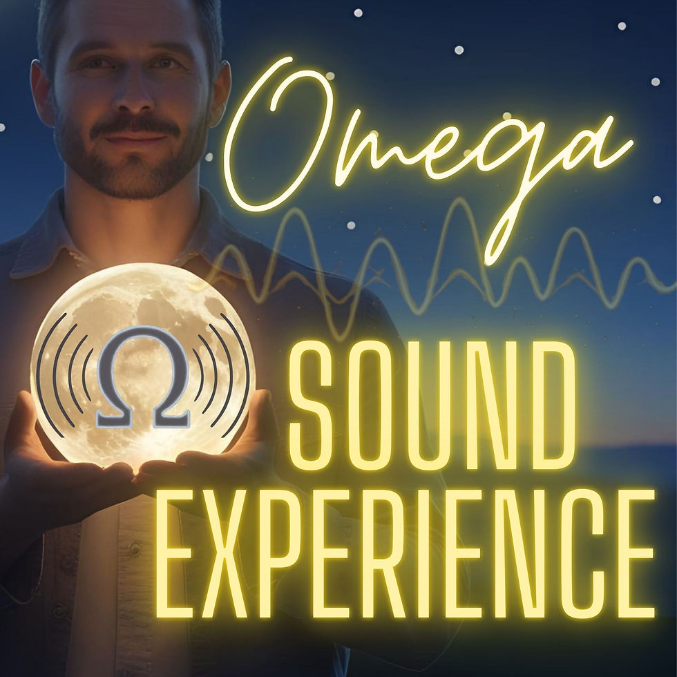 Omega Sound Experience