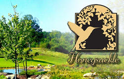 Honeysuckle