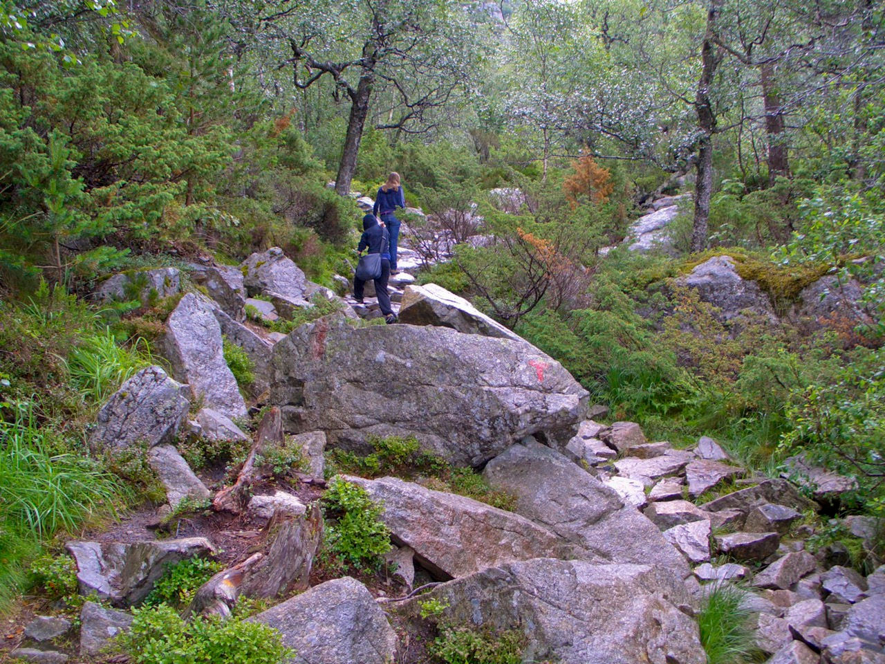 Noorwegen 2009-50