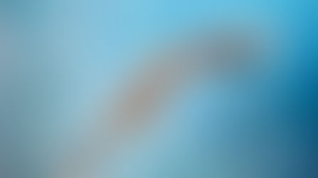 Acquamotricità Prenatale fitness e benessere in gravidanza