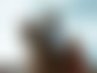 Clydesdale Outpost in Whitefish, Montana, where visitors can visit and stay overnight with Clydesdale horses on a working ranch near Glacier National Park