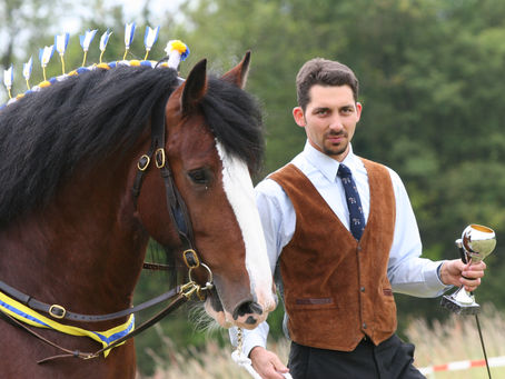 Famous Clydesdales Throughout History