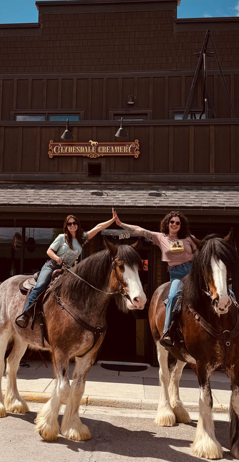 Clydesdales visiting Clydesdale Creamery.