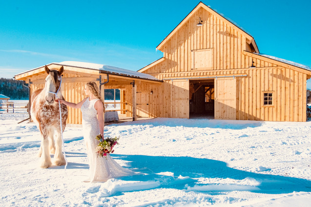 Winter Wedding in Whitefish Montana at Clydesdale Outpost