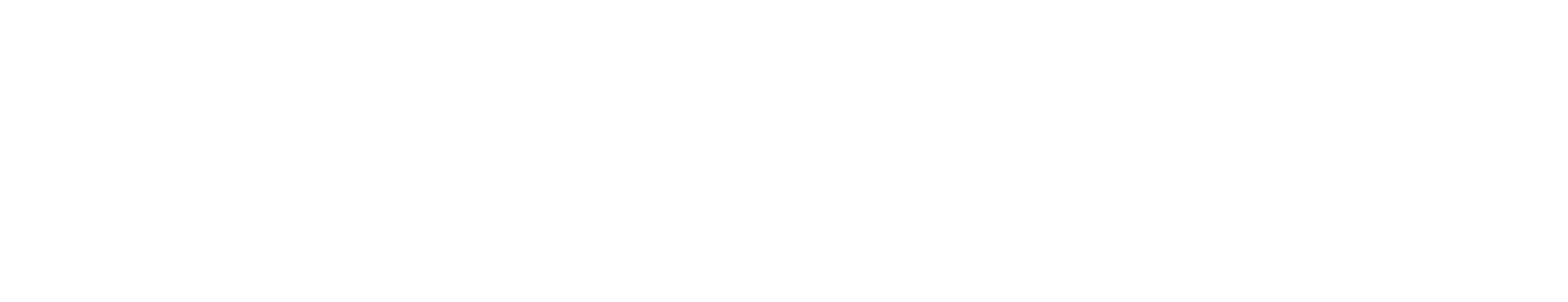 Elevare White Text Logo 2026.png