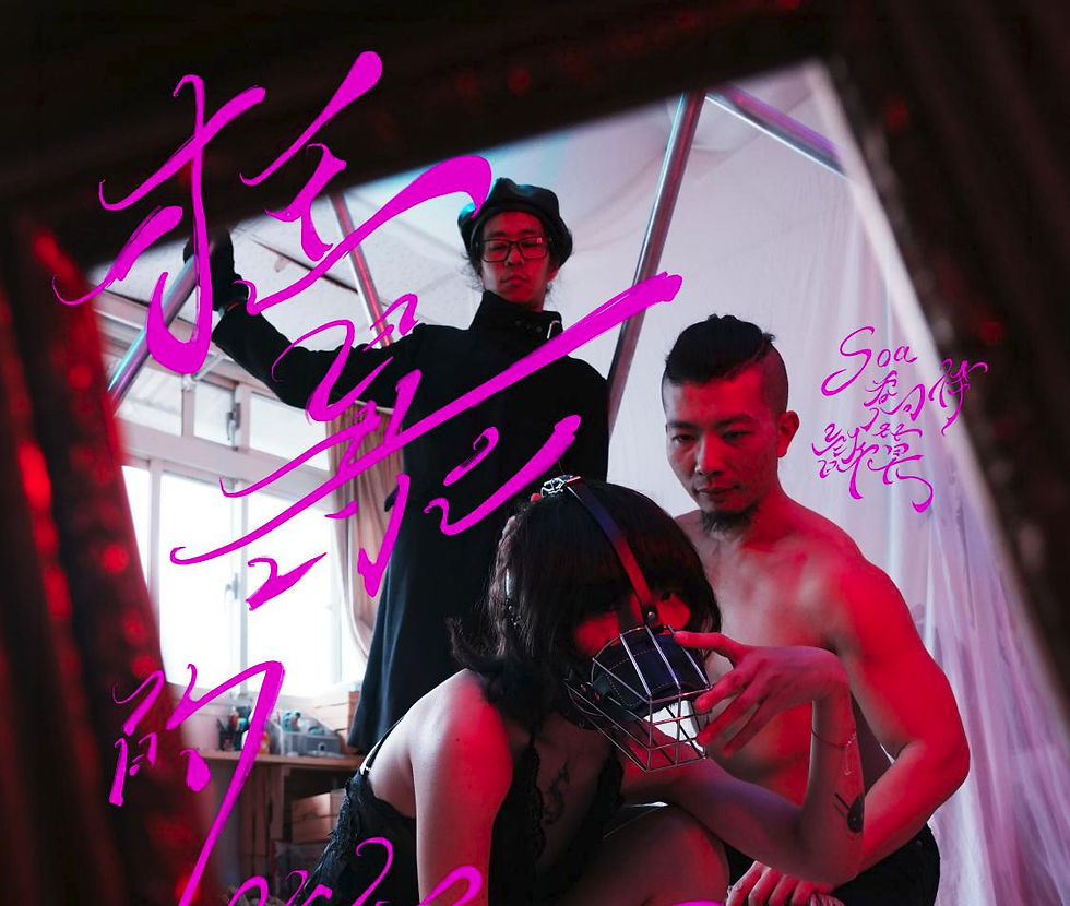 • 狂暴的歡愉 •