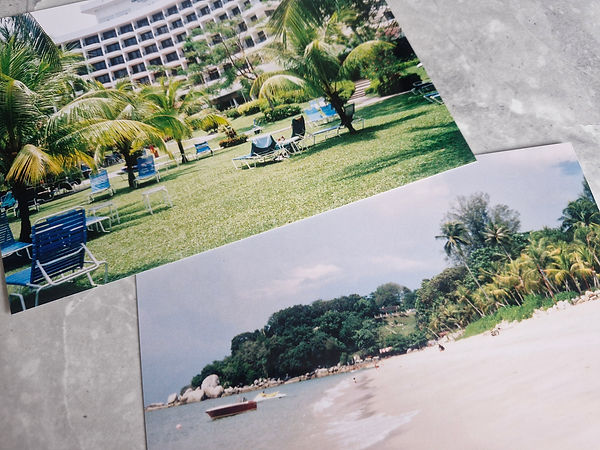 Weedon & Co. | A wide view of the Penang beach coastline with white sand and tropical greenery under a clear sky.